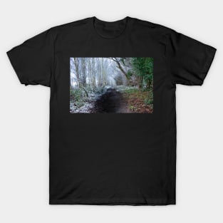 Forest path in winter T-Shirt